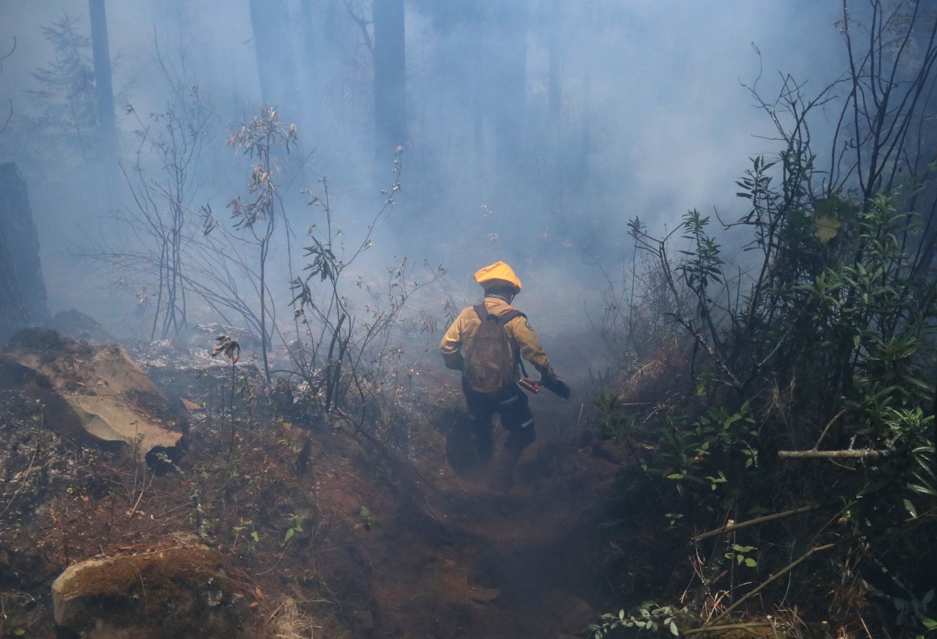 Incendio forestal en México