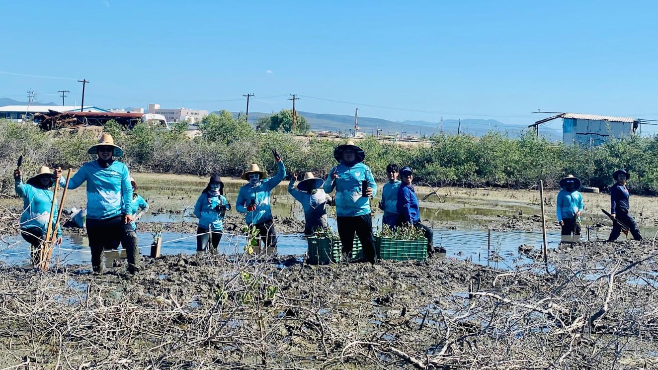 El Conchalito: manglar donde florece la esperanza