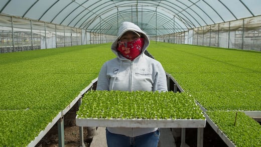 COFOCE lanza serie de webinars “Sabores que Traspasan Fronteras” para sector agroalimentario de Guanajuato