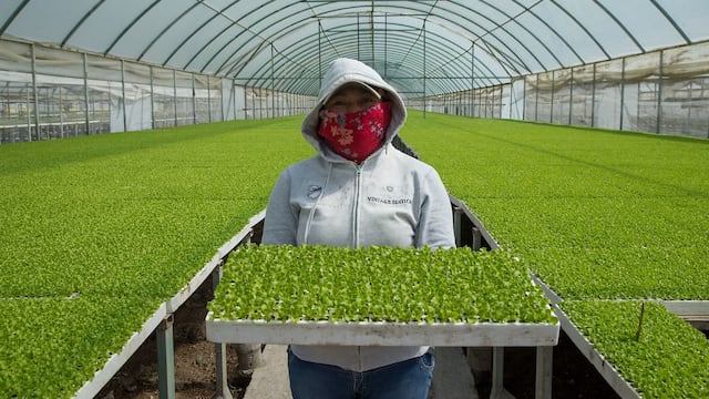 COFOCE lanza serie “Sabores que Traspasan Fronteras”