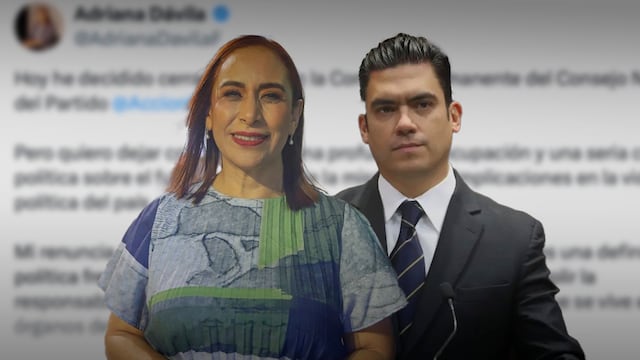 Adriana Dávila renuncia a la Comisión Permanente del PAN