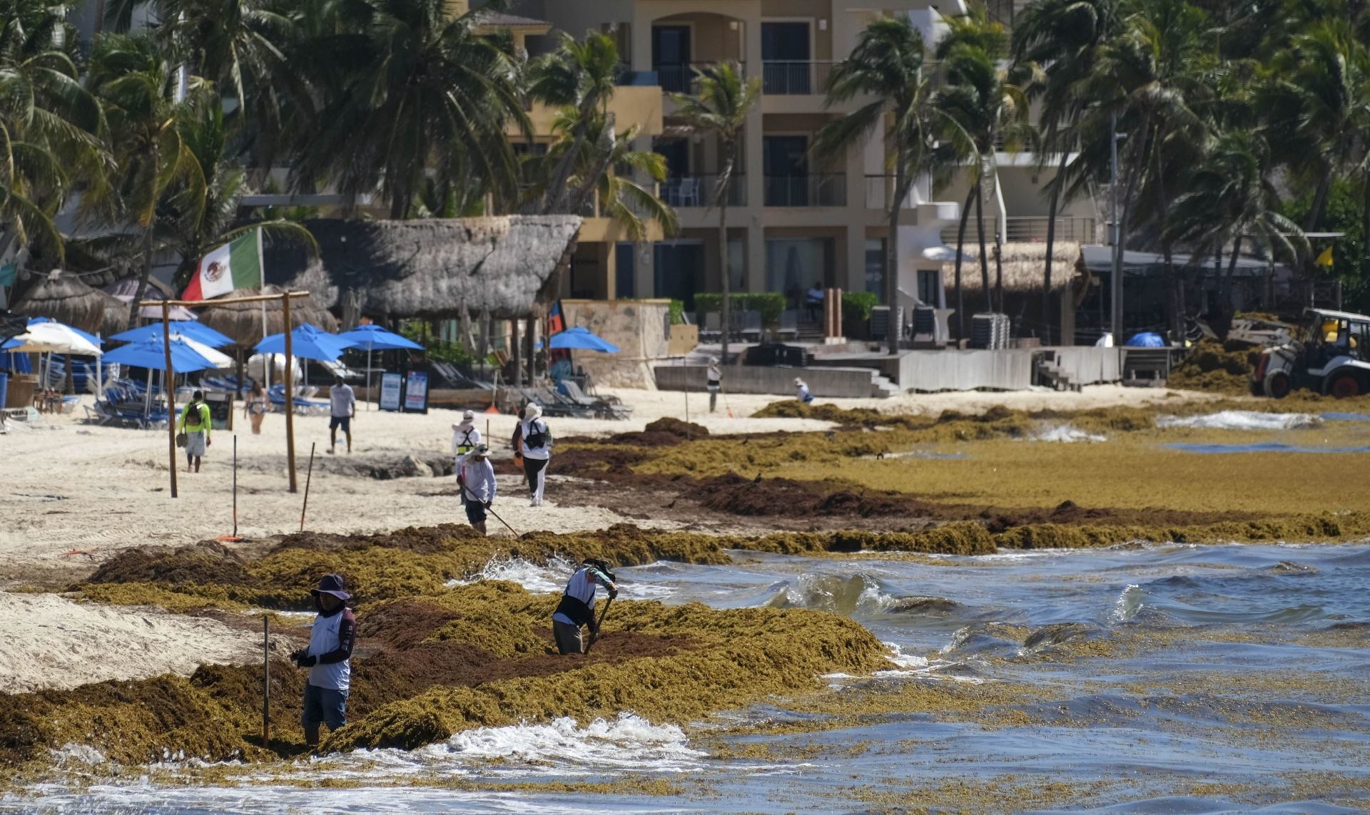 Sargazo en Cancún, Quintana Roo
