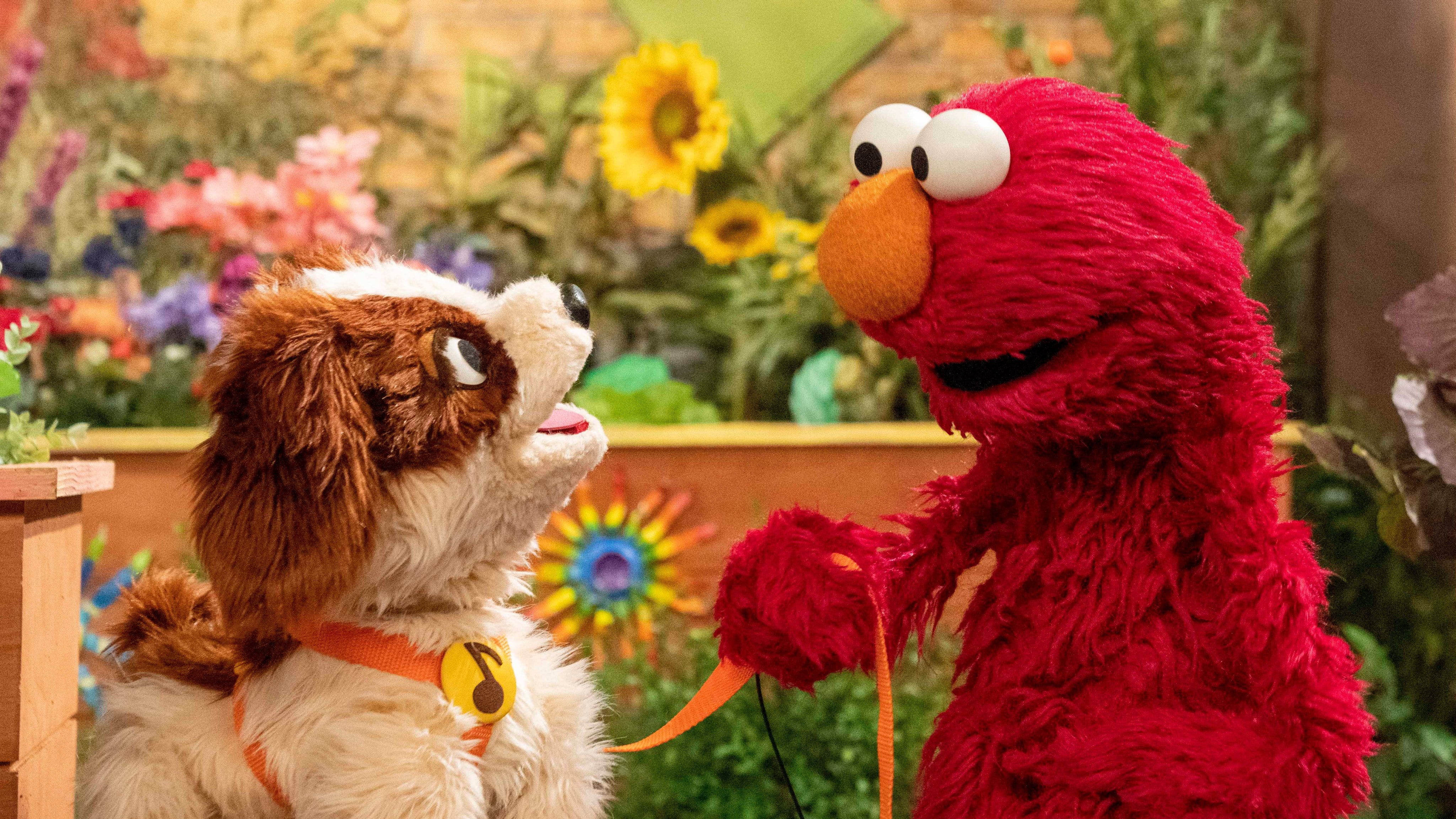 Elmo