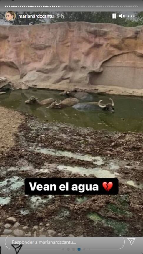 Mariana Rodríguez coparte fotos de los animales de La Pastora