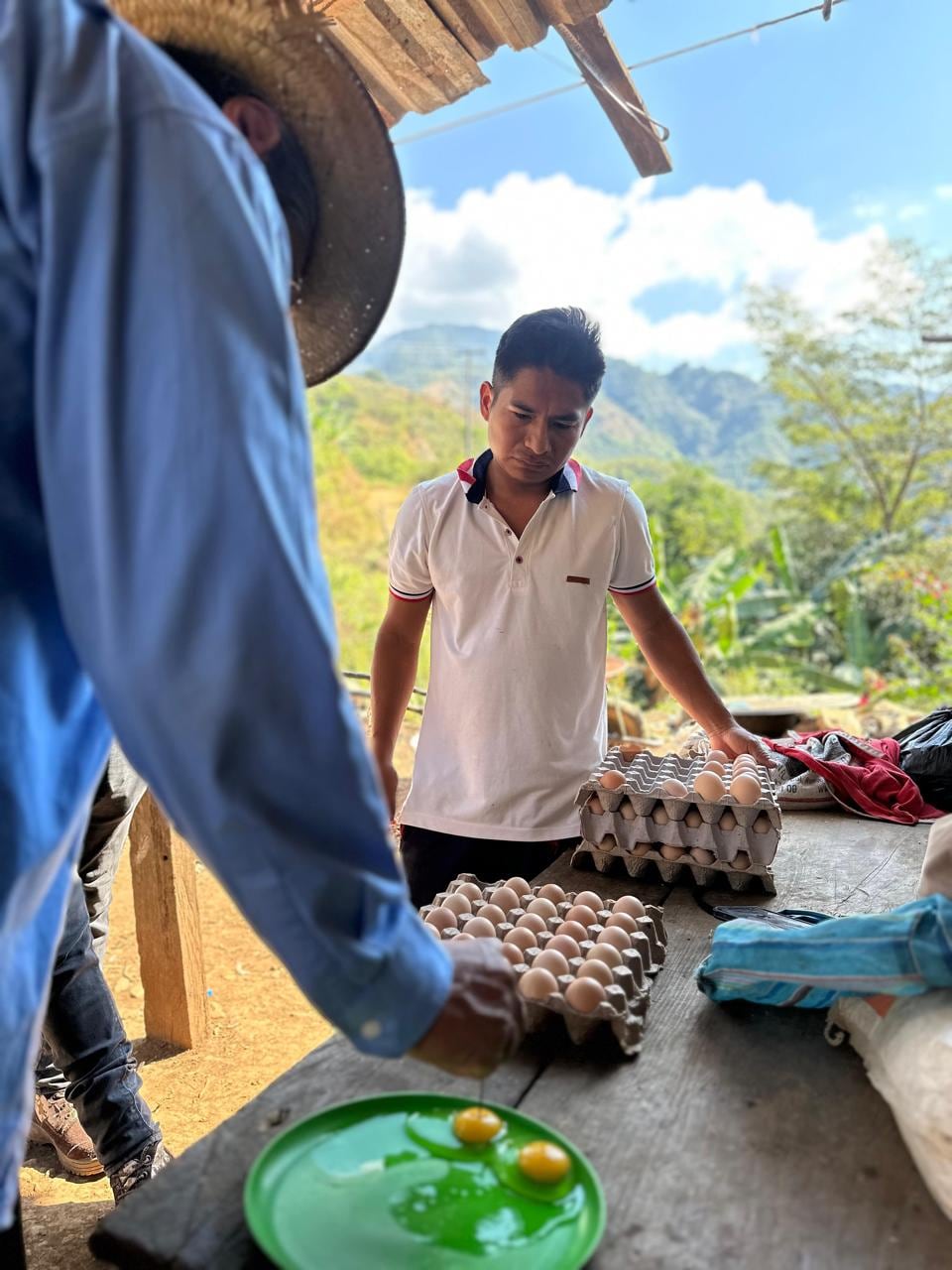 Negocio de venta de huevo fresco