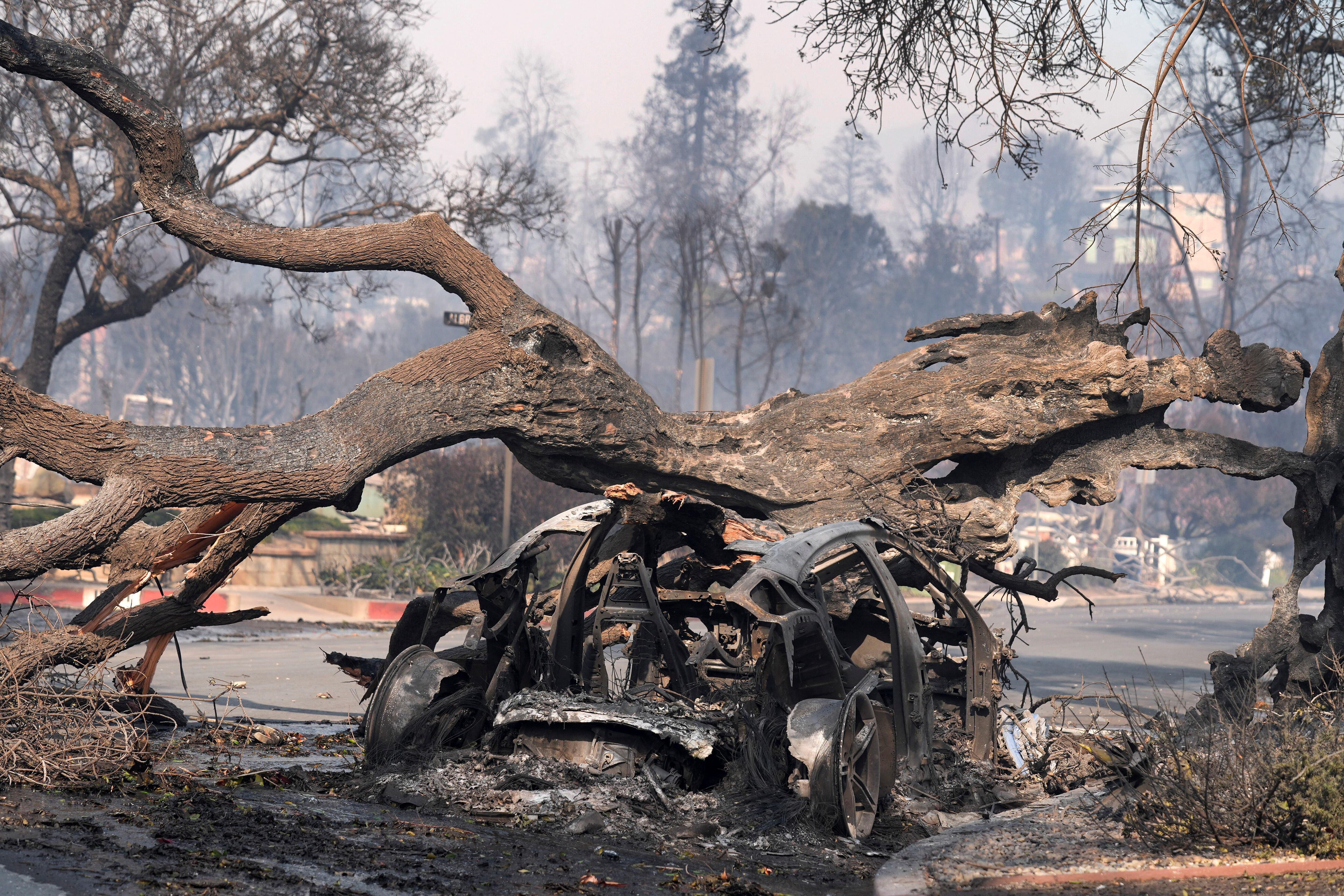 Incendios en California y Los Ángeles