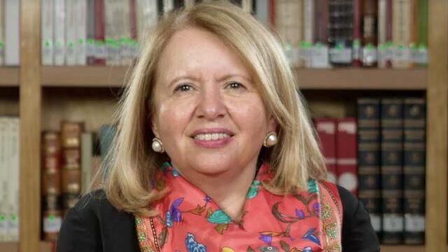 Ortiz Ahlf comentó que es importante establecer mecanismos para atender de lleno el tema de derechos humanos y garantizar el acceso a estos.