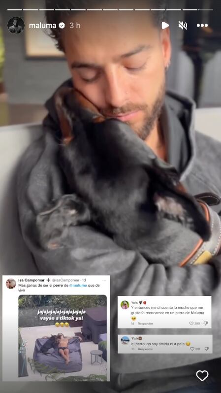 El perro de Maluma le muerde un pezón