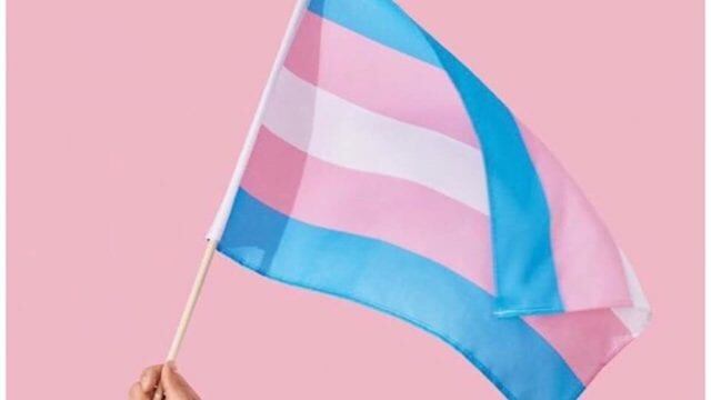 Bandera trans