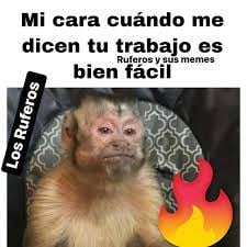 Meme de George, el mono