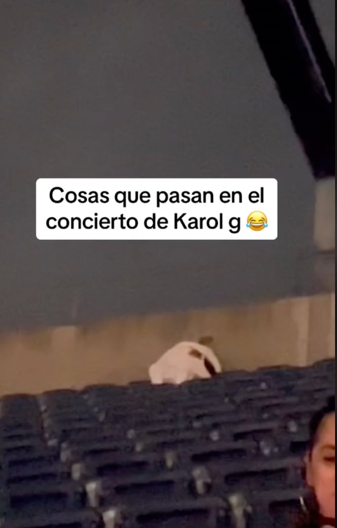 Una pareja aprovecha para tener sexo en el concierto de Karol G (VIDEO)