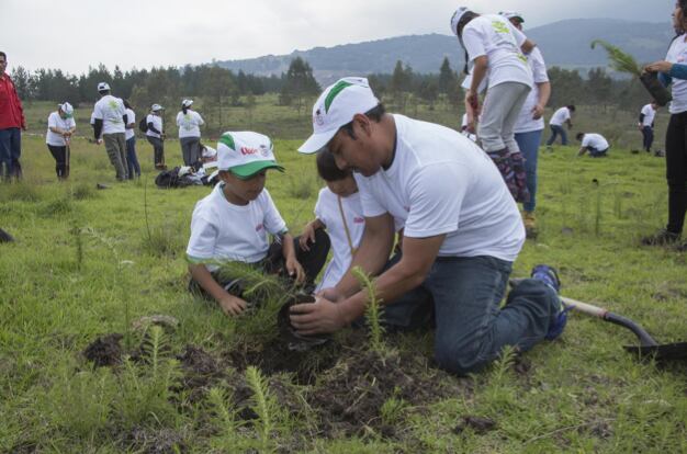 Industria Mexicana de Coca-Cola