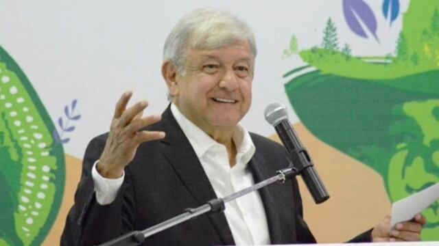 Y por si fuera poco, habrá también 264 delegados regionales, que serán activos representantes de Andrés Manuel López Obrador.