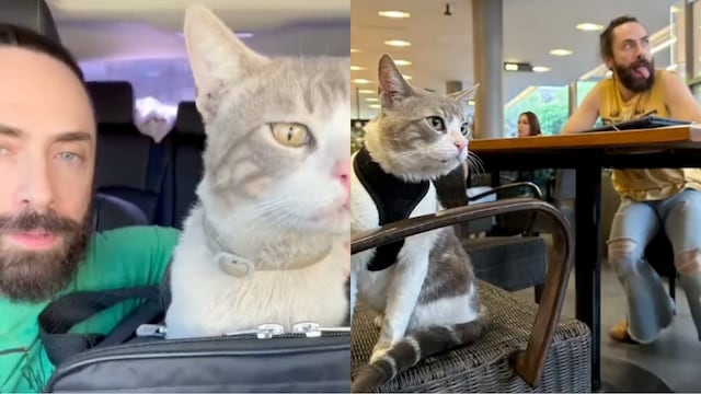 Jay de la Cueva revela cómo adoptó a su gato en video