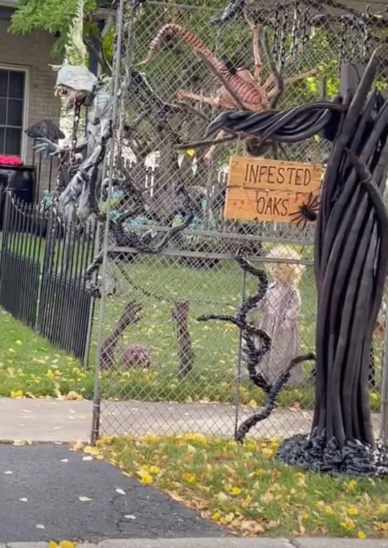 Decoración de Halloween para TikTok