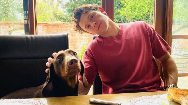 Tom Holland revela que tiene TDAH y dislexia al descubrir su nuevo personaje en corto de LEGO