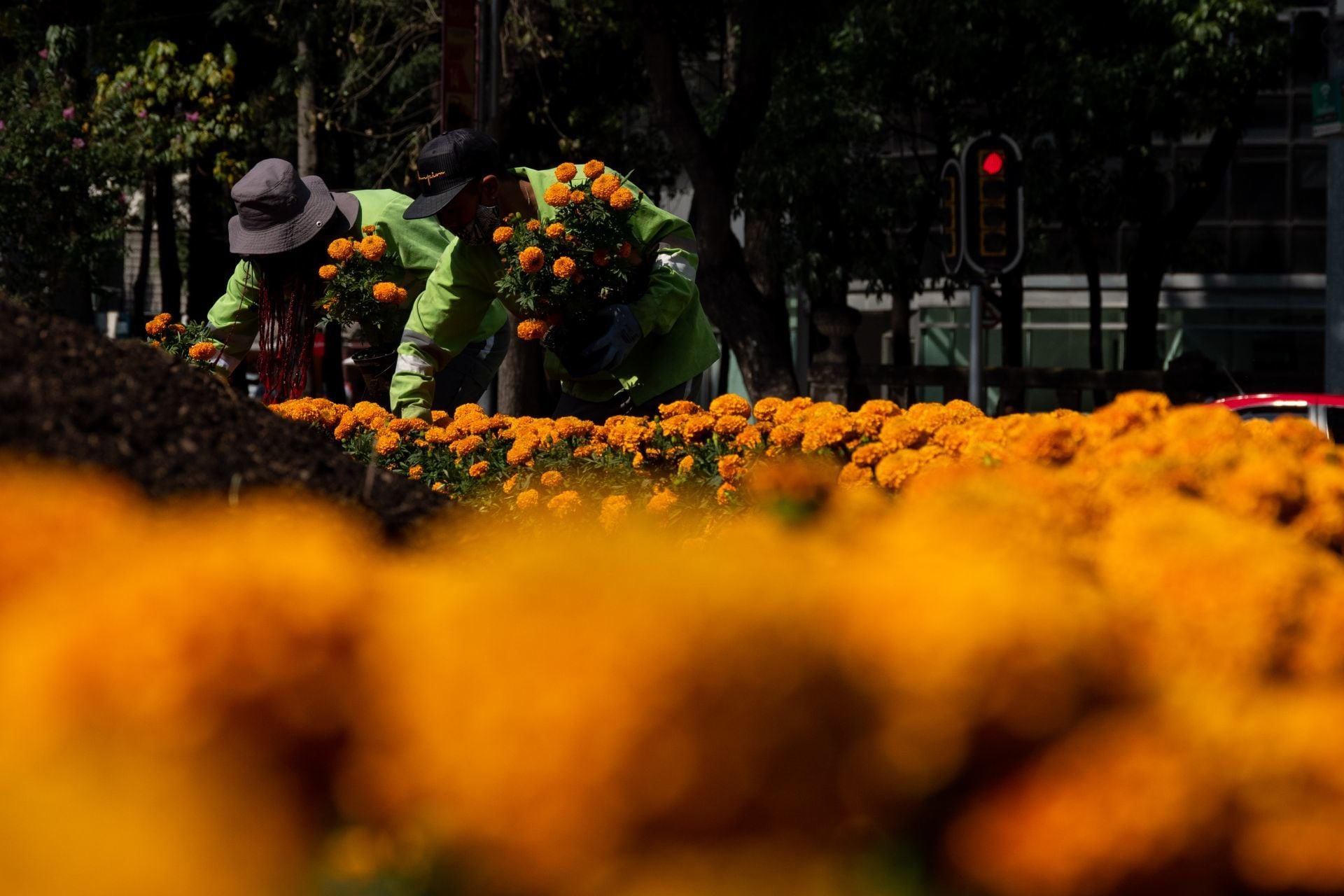 Colocan flores de cempasúchil en calles de la CDMX