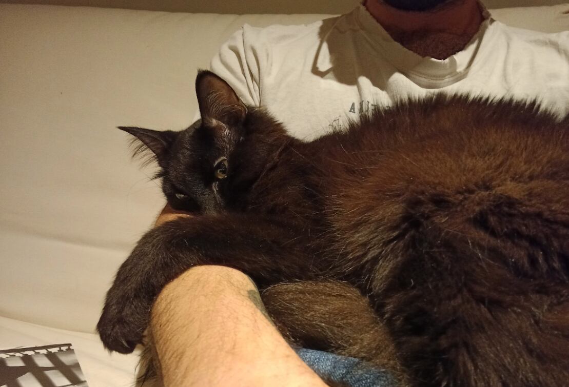 Danush Montaño cargando al gatito