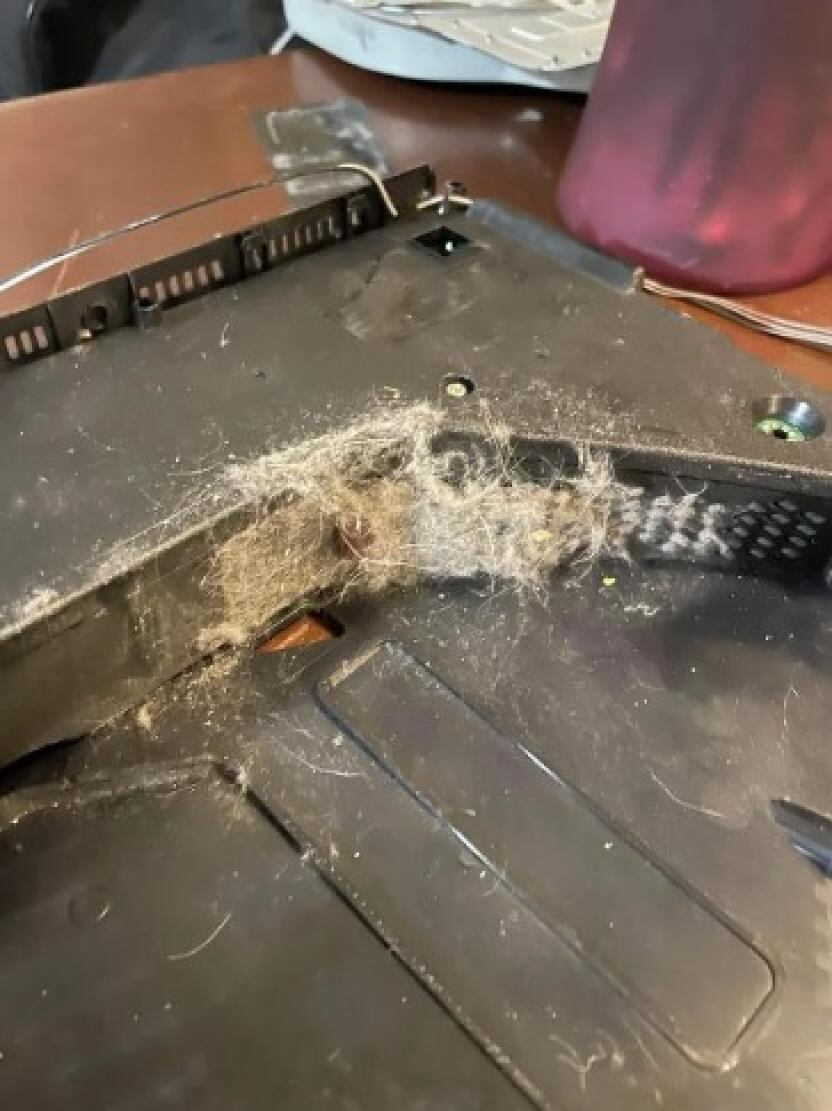 PS5 lleno de pelo