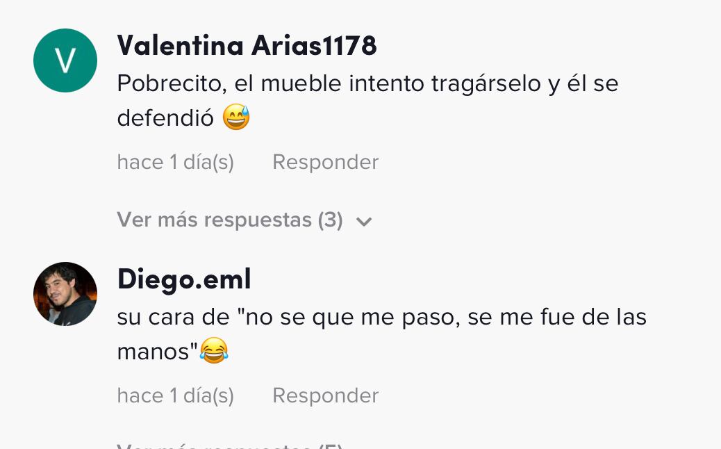 VIDEO: ¿Cómo terminó así? TikTok se pregunta al ver a perro atrapado dentro de sillón