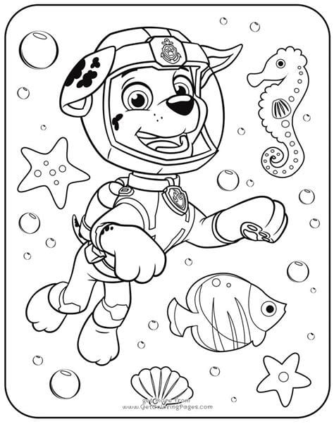 Dibujos de Paw Patrol en la playa de vacaciones