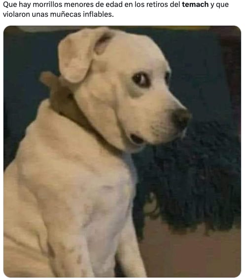 Memes se burlan del bautizo de los fans de El Temach