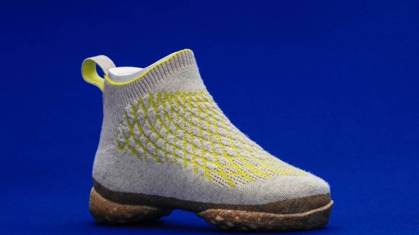 Crean tenis con pelo de perro