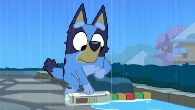 Bluey construye una presa