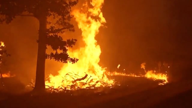 Incendios en Alemania han consumido más de mil hectáreas en el este del país