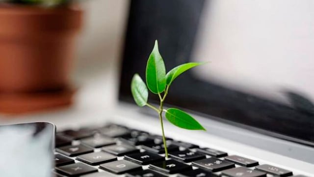 Grupo Bimbo es reconocido como uno de los “Líderes de sostenibilidad 2024”