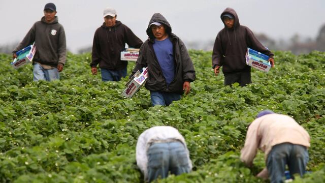 Trabajadores mexicanos en EU