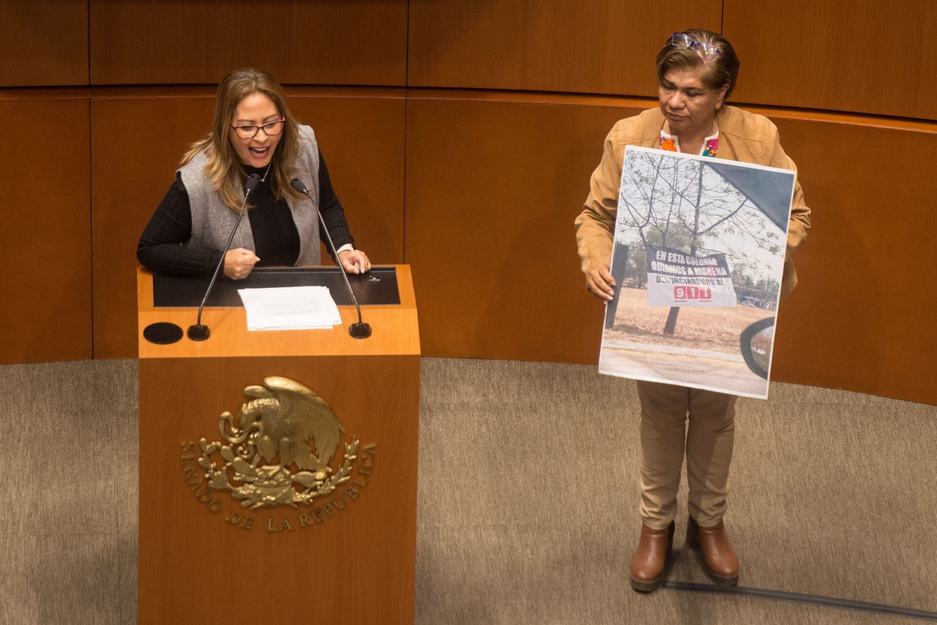 Lucía Meza, senadora de Morena, y María Eugenia Hernández, diputada de Morena, durante su participación en la sesión ordinaria  de la Comisión Permanente del Congreso de la Unión