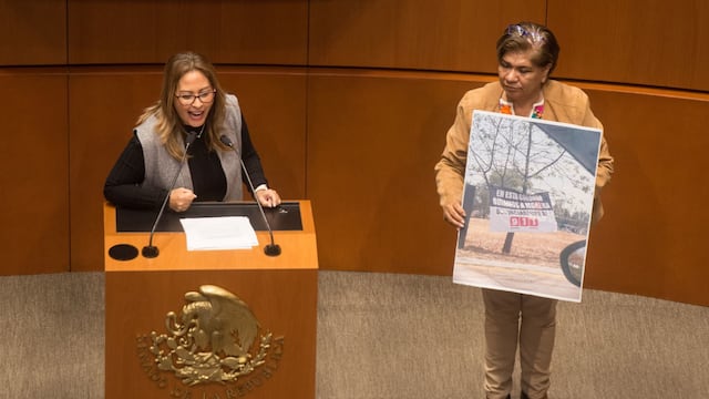 Lucía Meza, senadora de Morena, y María Eugenia Hernández, diputada de Morena, durante su participación en la sesión ordinaria  de la Comisión Permanente del Congreso de la Unión