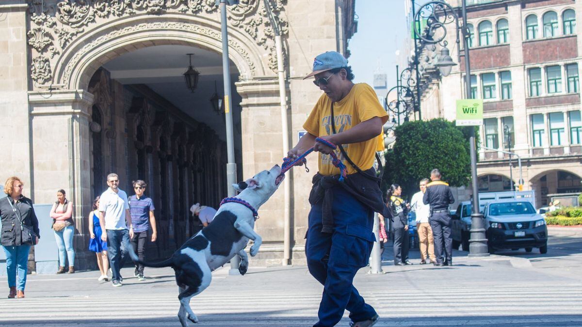 México ocupa el lugar 104 de 128 del Índice de Estado de Derecho