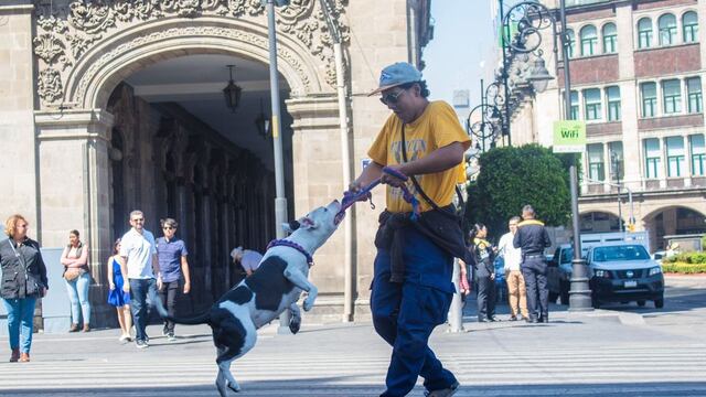 México ocupa el lugar 104 de 128 países en estado de derecho.