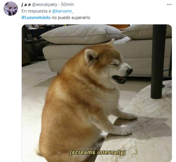 Meme del perro gritando internamente por ver la luz en el cielo.
