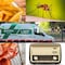 ¿Qué se celebra el 20 de agosto? Hoy es Día Mundial de las Papas Fritas, Día Mundial del Mosquito y más efemérides