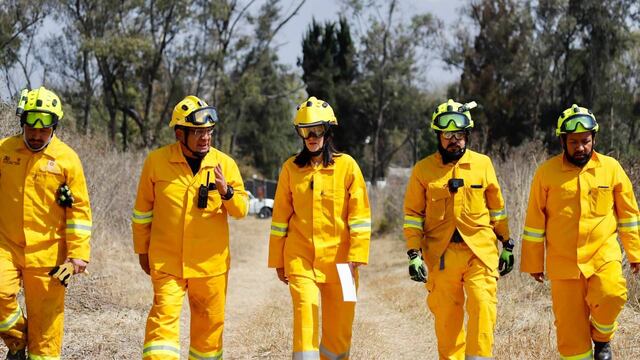 Bomberos apagan incendios forestales