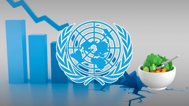 ONU alerta sobre una posible crisis alimentaria mundial por el aumento de precios agrícolas