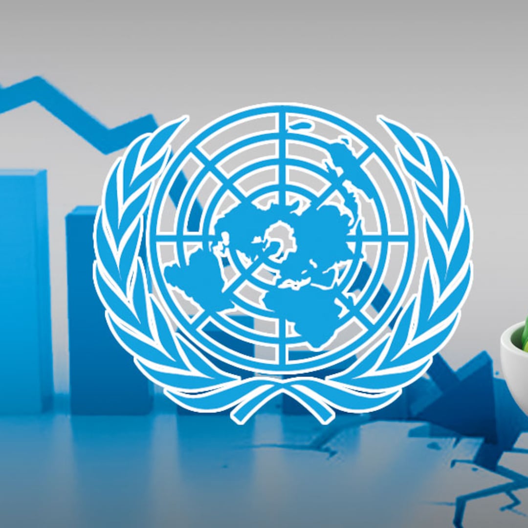 ONU alerta sobre una posible crisis alimentaria mundial por el aumento de precios agrícolas