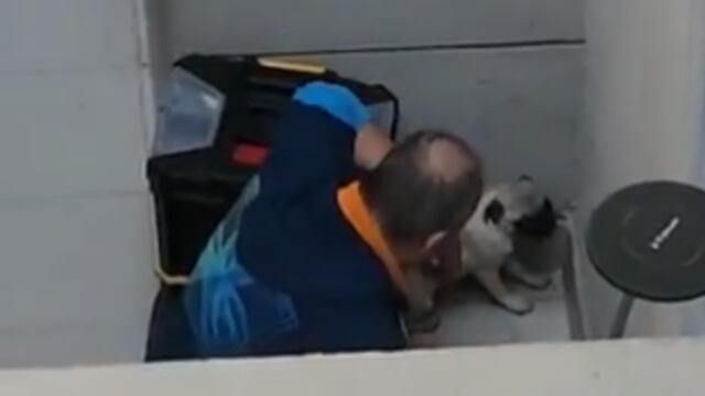 Hombre maltratando a cachorra en Venustiano Carranza, CDMX