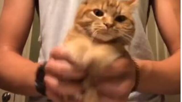 Kurt es un gran bailarin