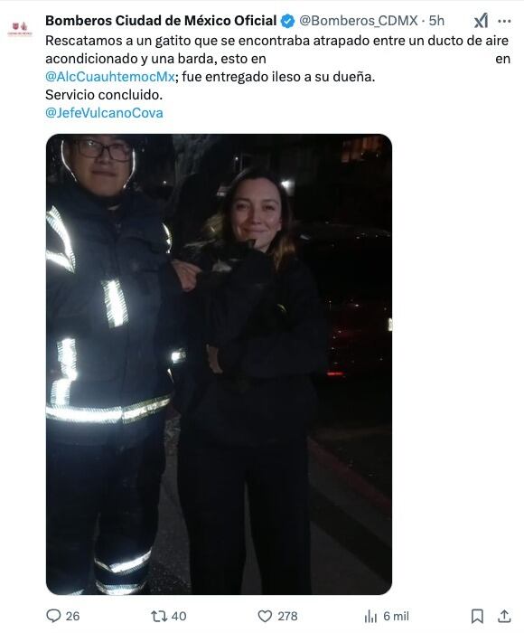 Bomberos de CDMX rescatan al gato de Regina Blandón