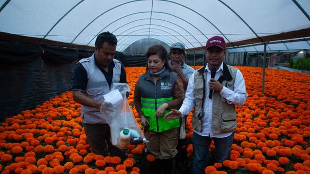 Clara Brugada, jefa de gobierno de la ciudad recorrió algunos de los puntos afectados por las intensas lluvias, entre ellos campos de cempasúchil