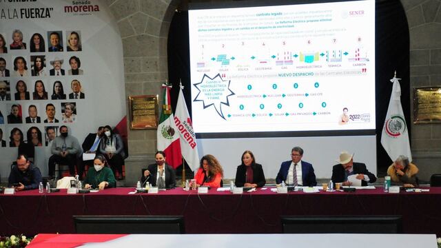 Plenaria de Morena