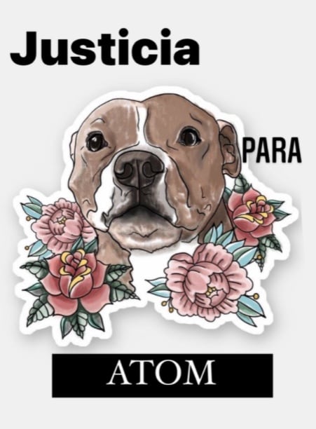 Ilustración de 'Atom'