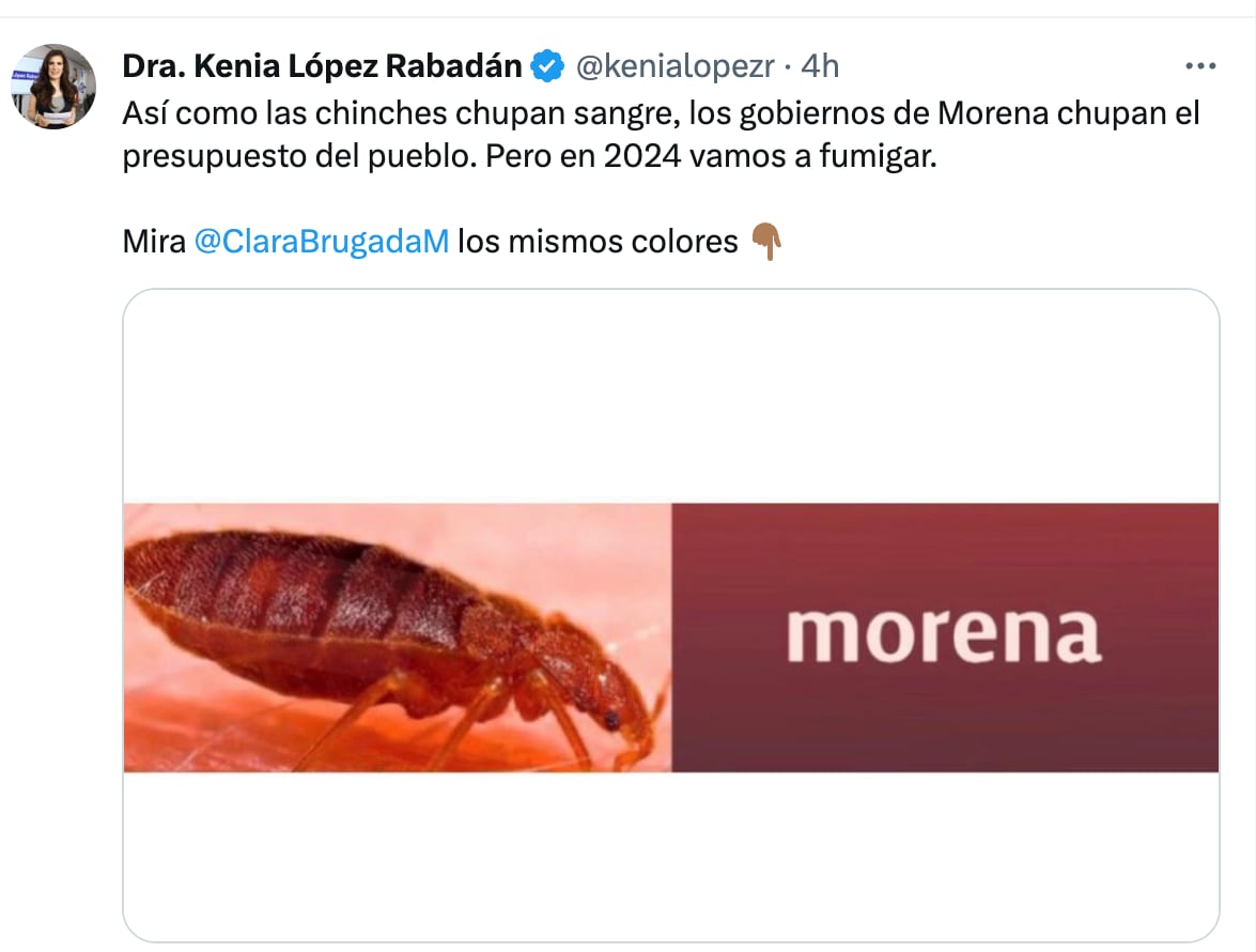 ¿Por qué Morena es como las chinches? Esto dice Kenia López Rabadán