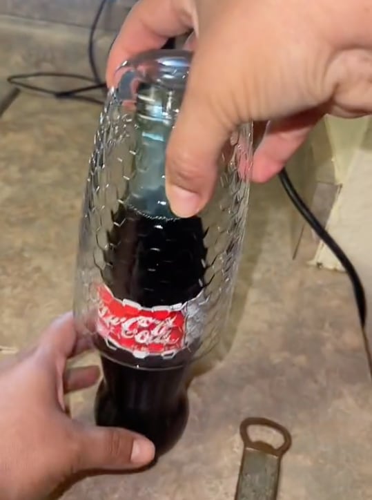 Coca-Cola