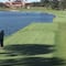 VIDEO: Lanzamiento de golfista mata accidentalmente a un pato en pleno vuelo
