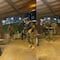 Supuesta fiesta del Cártel de Sinaloa con marinos bailando se viraliza en redes (VIDEO)